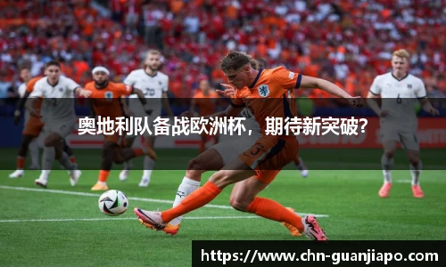 奥地利队备战欧洲杯，期待新突破？